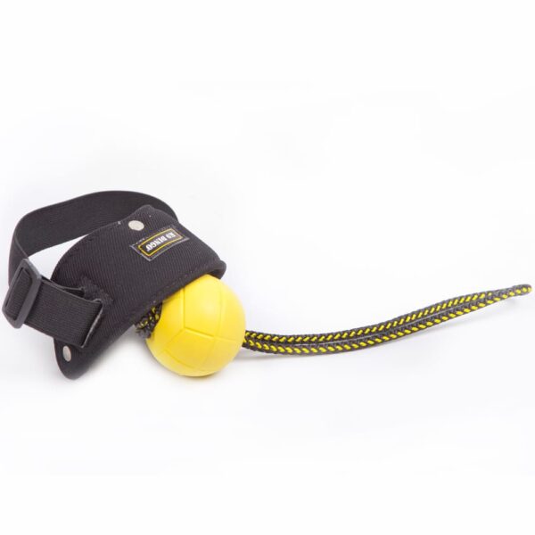 Soporte para pelota de obediencia de la marca DINGO GEAR