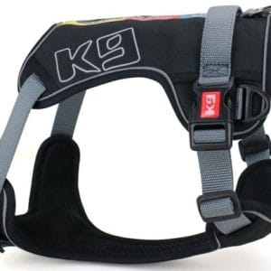 arnes mantrailing Quattro Harness 02 510x415 2.jpg