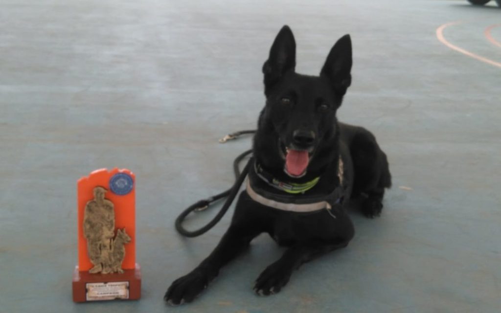 imgi 2 odin 2 1080x675