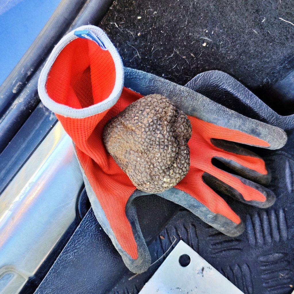 imgi 4 IMG 20231214 145015 1024x1024