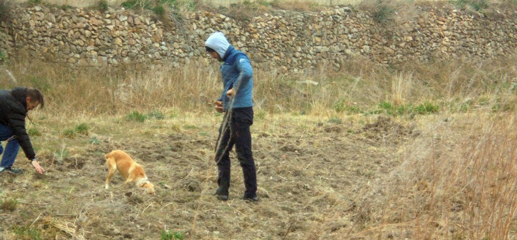 imgi 5 DSC03108a 1024x475