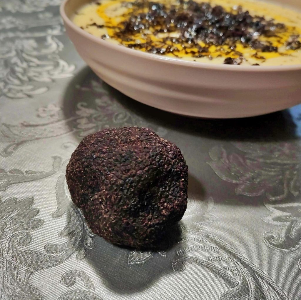 imgi 5 IMG 20220320 211328 1024x1020