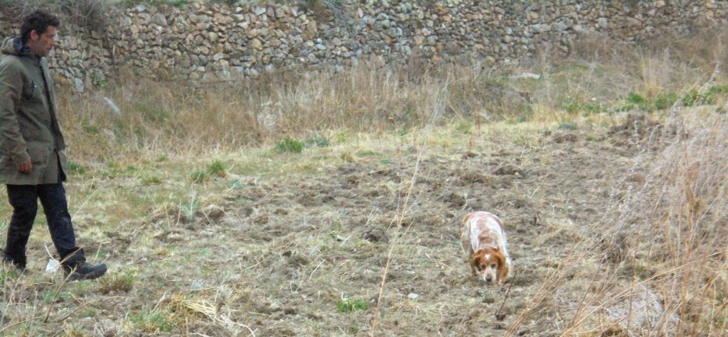 imgi 6 DSC03127a 1024x475