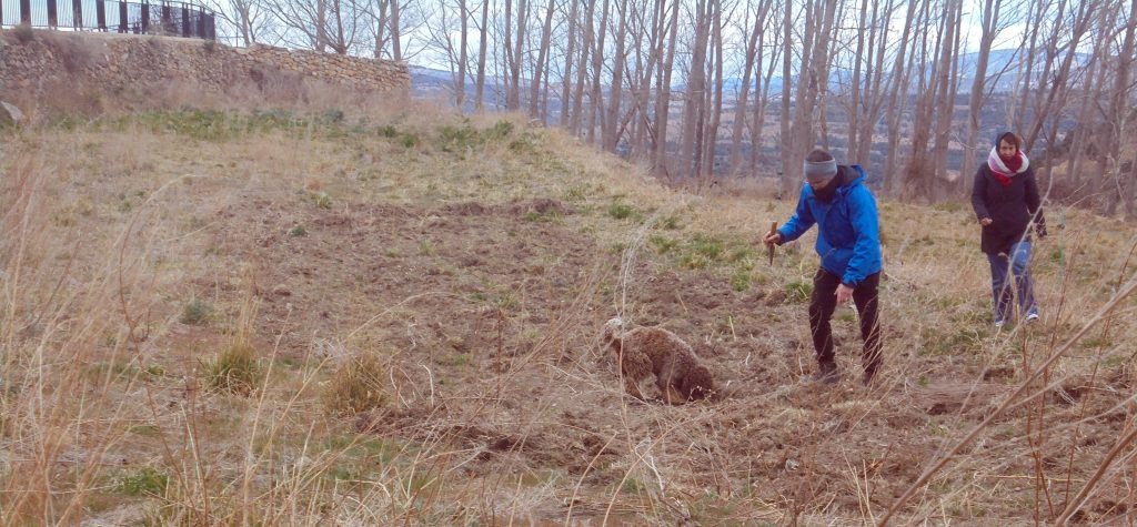 imgi 7 DSC03117a 1024x475