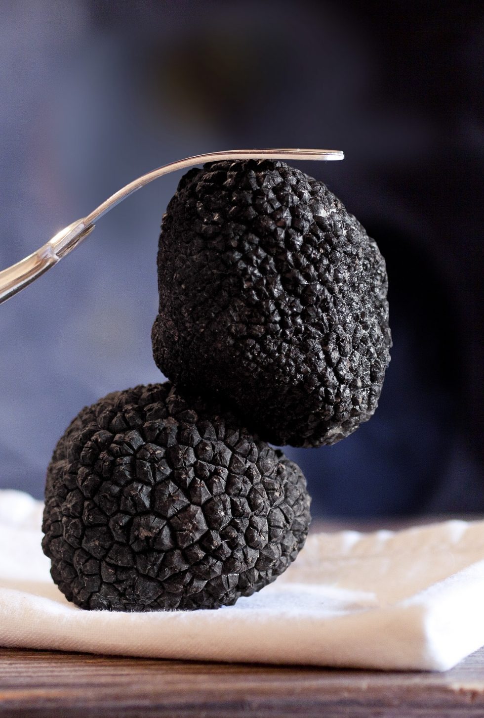 imgi 7 truffle gda6656048 1920 980x1452